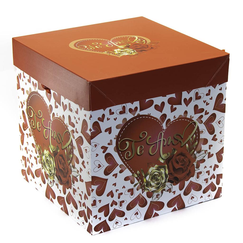 102331 Caja Grande
